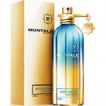 Montale Paris Aoud Lagoon UNISEX (Kvepalai Vyrams ir Moterims) EDP - (BE PAKUOTĖS)