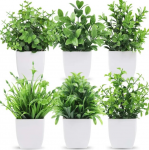 Dirbtiniai augalai vazonuose, 6vnt