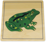 TimeTEX Dėlionė Varlė "Montessori Premium" (TT94740)