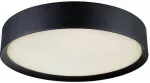 Pakabinamas &scaron;viestuvas Pavir&scaron;inis &scaron;viestuvas ALESSIO, E27, juodas, 45cm, 4155400