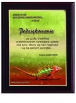 Plastikinis diplomas su spalvotu lietimui jautriu laminatu