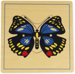 TimeTEX Dėlionė Drugelis "Montessori Premium" (TT94746)