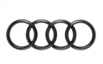Audi TT TTS Emblemas VAG Originalus 8S0071801