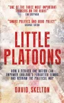 KNYGA David Skelton Little Platoons