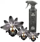 Spring Aliejinis patalpų kvapas Juodas orchid, 500ml