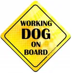 At&scaron;vaitinis magnetas Working Dog on Board, matomas 100 metrų, &scaron;uo automobilyje