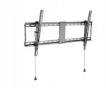 TV staliukas Gembird Wm-90t-01 tv laikiklis 43-90 colių, juodas