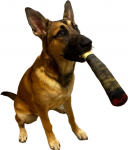 Žaislas &scaron;uniui pliu&scaron;inis cigaras, 25cm