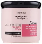 Ronney BIOPOINT Professional Hair Program spalvą pary&scaron;kinanti kaukė dažytiems plaukams 400 ml