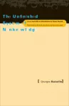 KNYGA Georges Bataille Unfinished System of Nonknowledge