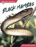 KNYGA Dalton Rains Juodas Mambas