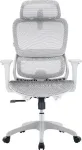 Sihoo ergonomi&scaron;kas biuro fotelis B100 Mesh balta