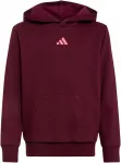 Bluza vaikams adidas Essentials Hoodie bordinė KT3380 (128cm)