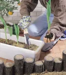 Grandininis pjūklas Kikudo sodo peilis japoni&scaron;kas sodo įrankis laukinių daržovių kasimui