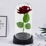 Lean Wieczna Amžina rožė kupole su LED ap&scaron;vietimu, raudona, 21x11cm