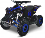 Elektrinis keturratis MUKUTISRIDES BlazeRider 1000W 36V (mėlynas)