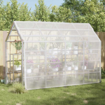 Tent su kilpom Skaidrus 3 x 3 m Polietilenas