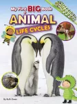 KNYGA Ruth Owen My First BIG Book of ANIMAL Life Cycles