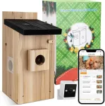 Inkilo dėžutė su kamera 1080p hd smart indoor hanging bird house wi-fi laukiniams sodo pauk&scaron;čiams