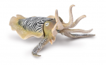 Collecta Figūrėlė - Paprastoji sepija