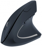 Pelė Techly Myszka belaidė 2.4GHz RF USB pionowa 1600dpi optinė