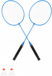 REBEL ACTIVE badmintono rinkinys