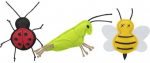 Rotaļlieta kaķiem - Trixie Insects, felt, catnip, 11 cm, 1 gab