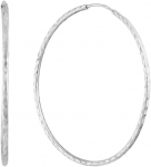 Sidabriniai auskarai Brasco 60698
