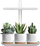 12W LED stalo &scaron;viestuvas augalų auginimui BLOOM, baltas, 4500K