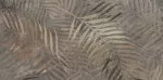 DEC plytelė &bdquo;Golden Fern&ldquo; 60x120 (1,44)
