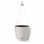 Lechuza Nido Cottage