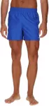 Nike Maudymosi &Scaron;ortai Vyrams Nk M ESS 5"Volley Short Mėlyna NESSA560 494