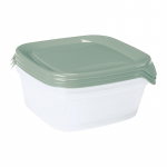 Curver Maisto konteinerių rinkinys, 3 vnt., kvadratiniai, 3 x 0,8 l, &bdquo;Fresh&Go&ldquo;, žalias