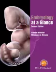 KNYGA Samuel Webster Embryology at a Glance