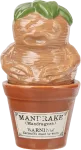 Paladone Harry Potter - Mandrake and Plant Pot Salt and Pepper Shakers