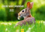 Edition Seidel Premium Kalendorius Triu&scaron;iai ir Triu&scaron;iai 2025 Formatas Din A4 Sieninis kalendorius Gyvūnų kalendorius Gyvūnų vaikai Laukiniai gyvūnai Mi&scaron;ko gyvūnai Augintiniai