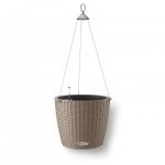 Lechuza Nido Cottage