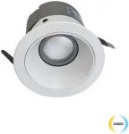 20W LED įleidžiamas &scaron;viestuvas ALEA, baltas, 3000K, 3914-012W-3-S-38