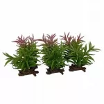 Terra Natura Crassula sukulentas, terariumo dekoracija, spalvų mi&scaron;inys, 13x10,5x16 cm