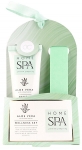 Body Accentra Winter Wonderland Shimmer Losjonas kūnui 140 ml kūno losjonas Moterims