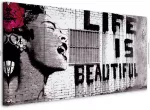 Paveikslas Gyvenimas yra gražus (Banksy)