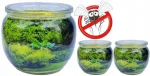 Lothantique 3 x žvakė nuo uodų ir vabzdžių Citronella