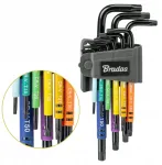 Torx &scaron;e&scaron;iakampių raktų komplektas T10-t50 su skyle, ilgas, 9 dalių rinkinys