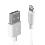Kabelis - Lindy 2m USB Type A to Lightning Cable, 480Mbps, Baltas