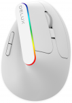 Belaidė pelė pionowa Delux M618C RGB balta