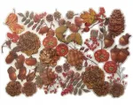 Lipdukų rinkinys rudens scrapbooking'ui 40 vnt. &scaron;akelės kankorėžiai