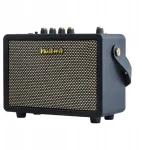 Dk Technology Ig-10pro gitaros stiprintuvas elektrinei, bosinei gitarai 10w