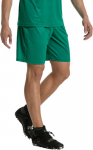 Puma Futbolo &Scaron;ortai Liga Shorts Core Pepper Žalias