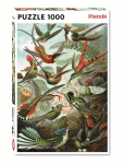 PIATNIK Dėlionė 1000 vnt. - Ernst Haeckel: Kolibriai