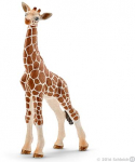 Schleich figūrėlė Žirafos jauniklis